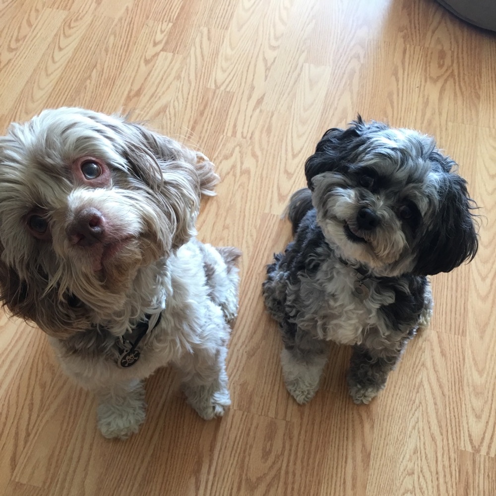 Meet your Posher, Kelli